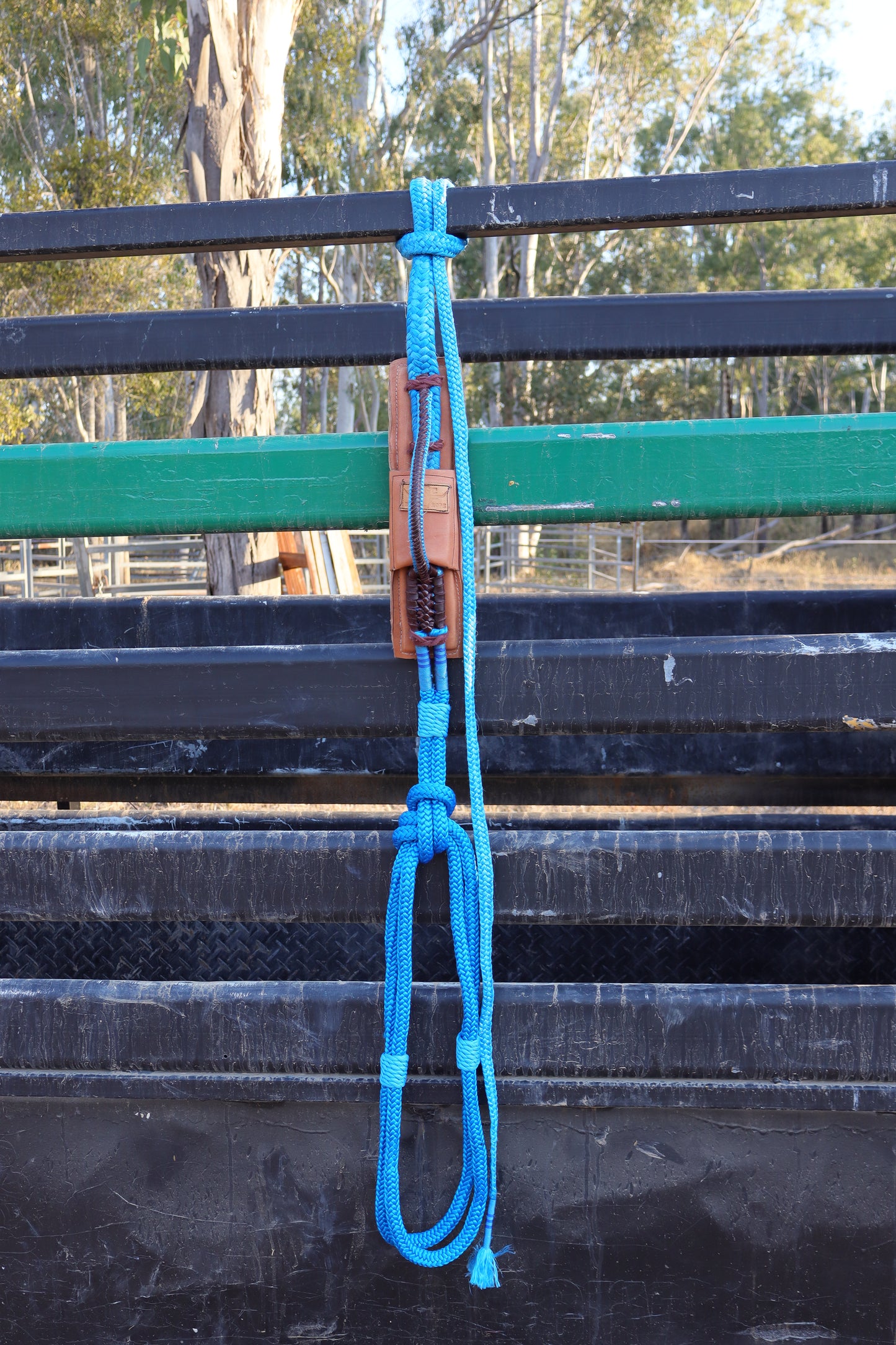 Left Hand American Mini Bull Rope
