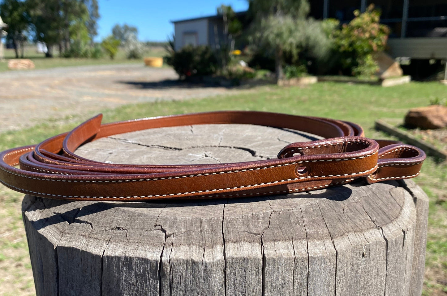 Painted Leather Bridle