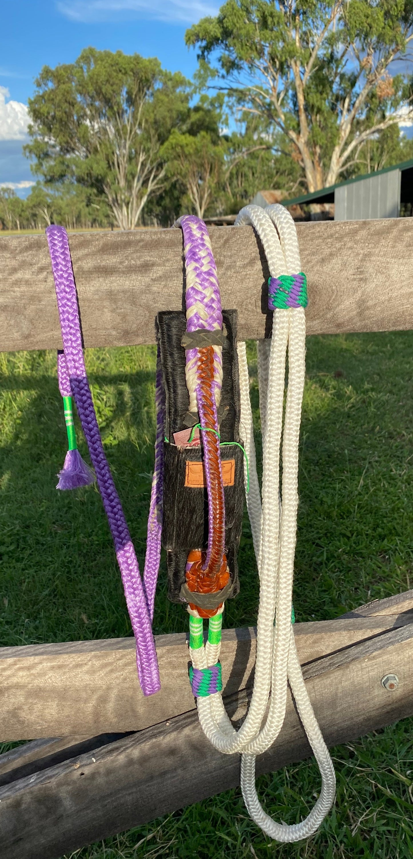 Right Hand American Mini Bull Rope