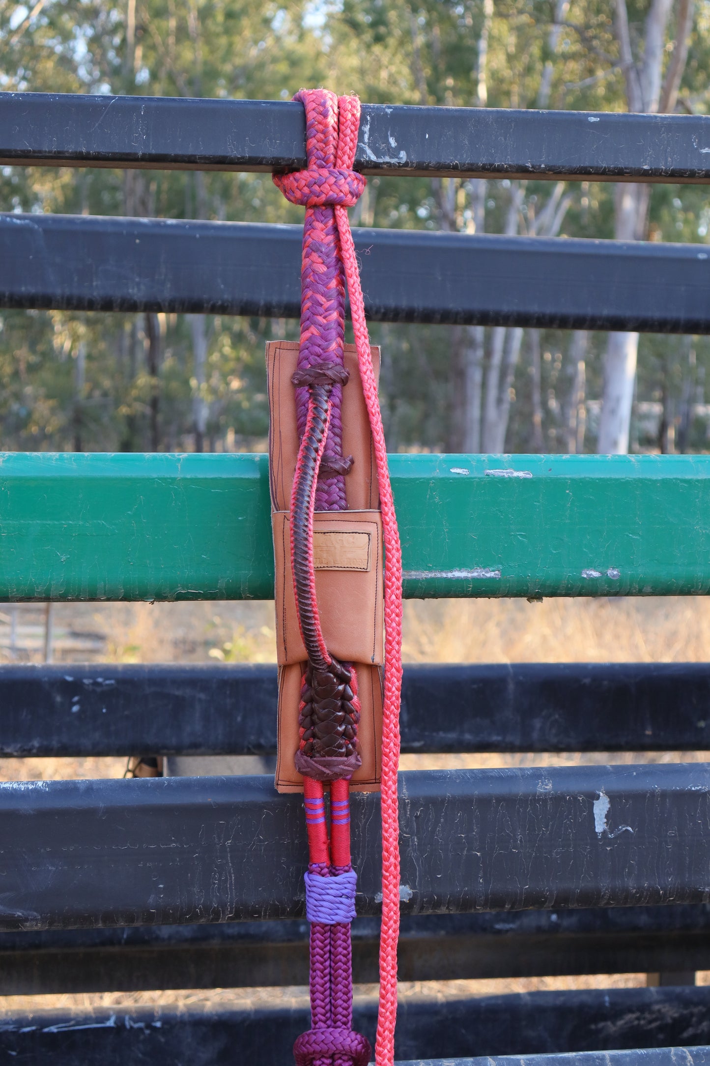 Right Hand American Mini Bull Rope