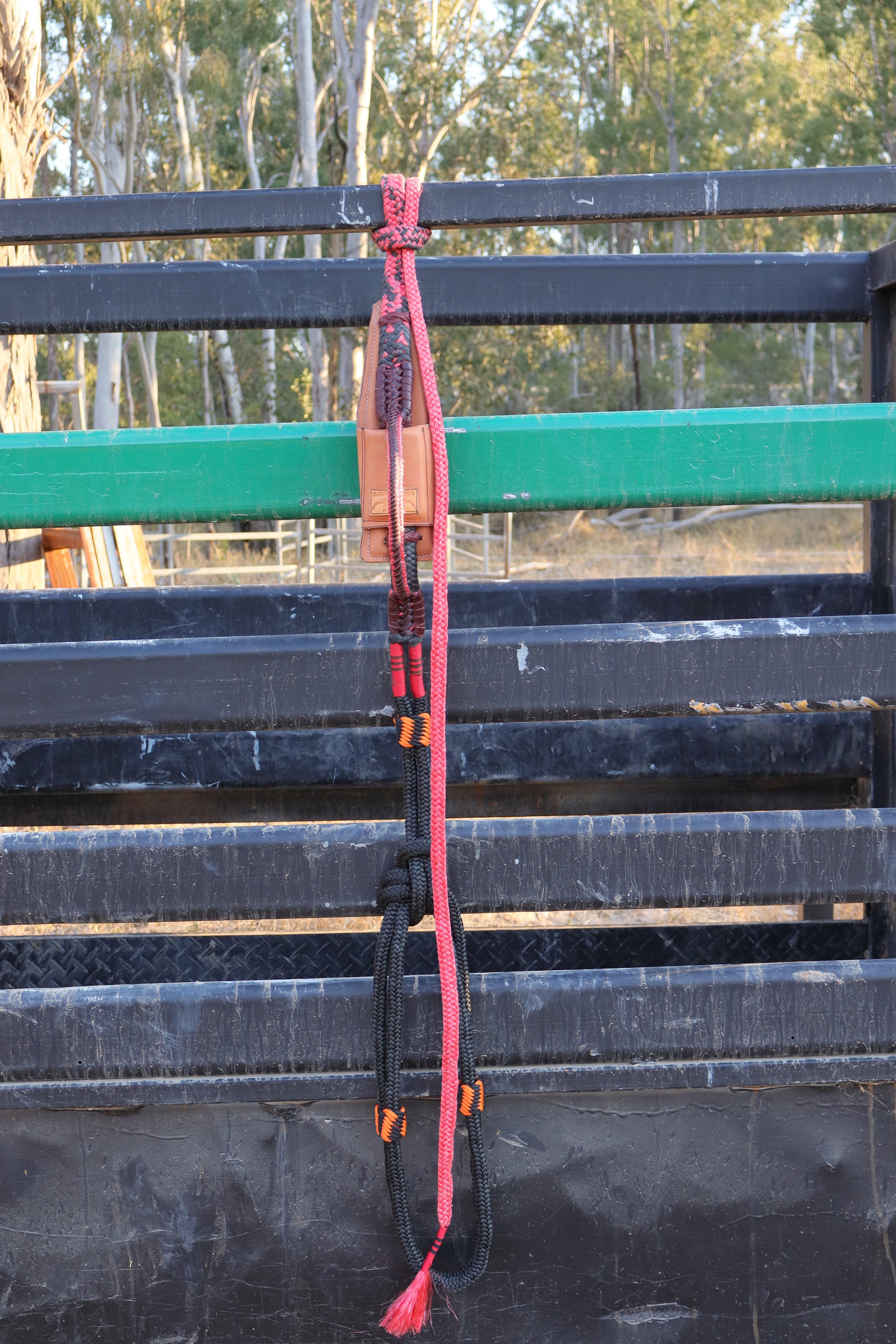 Left Hand Brazilian Mini Bull Rope w/ American Block