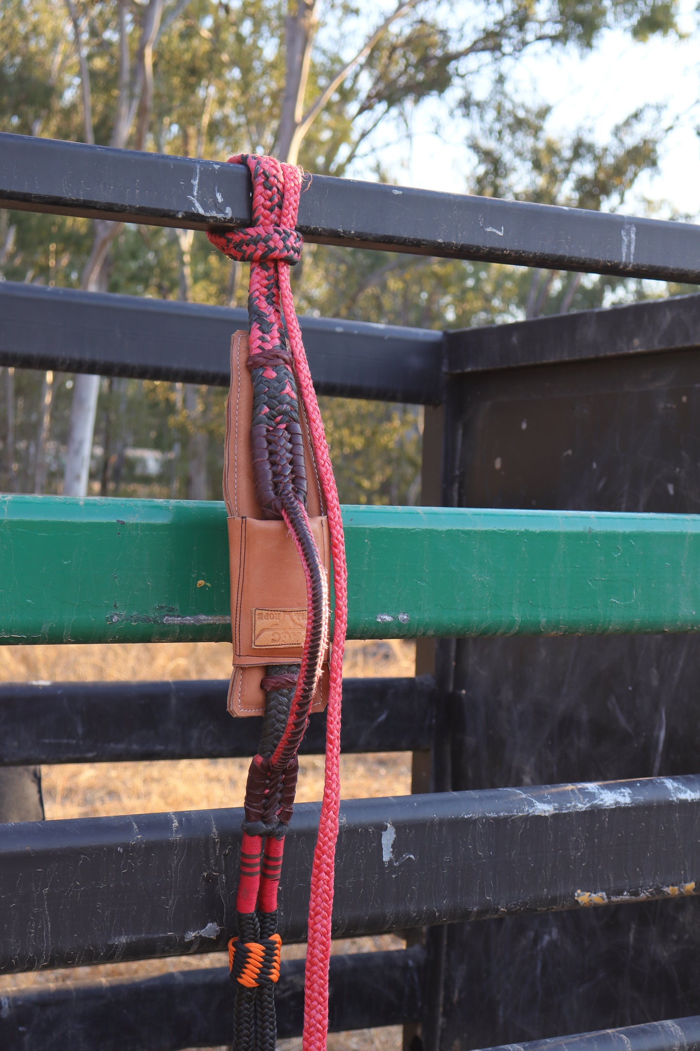 Left Hand Brazilian Mini Bull Rope w/ American Block