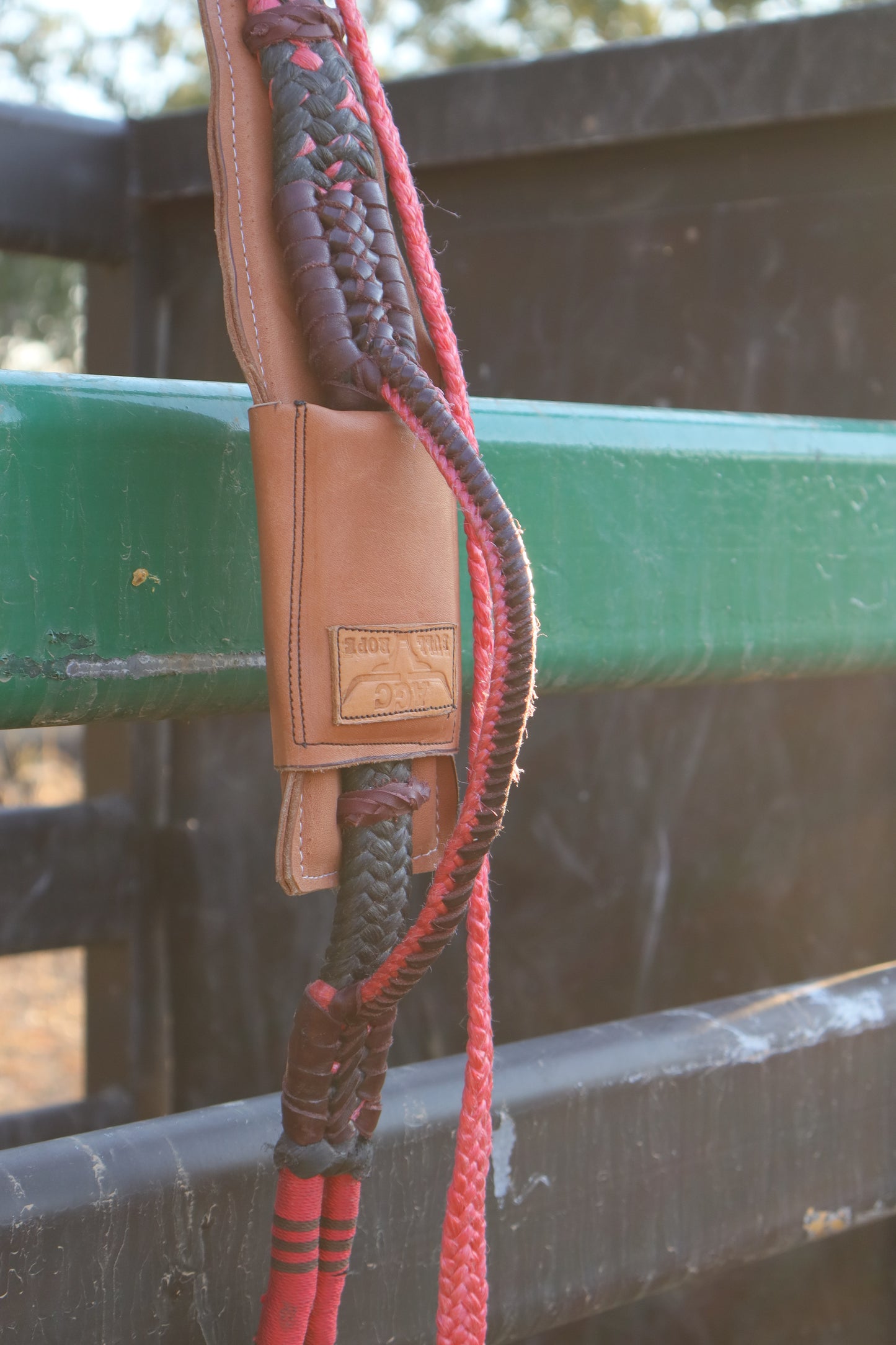 Left Hand Brazilian Mini Bull Rope w/ American Block