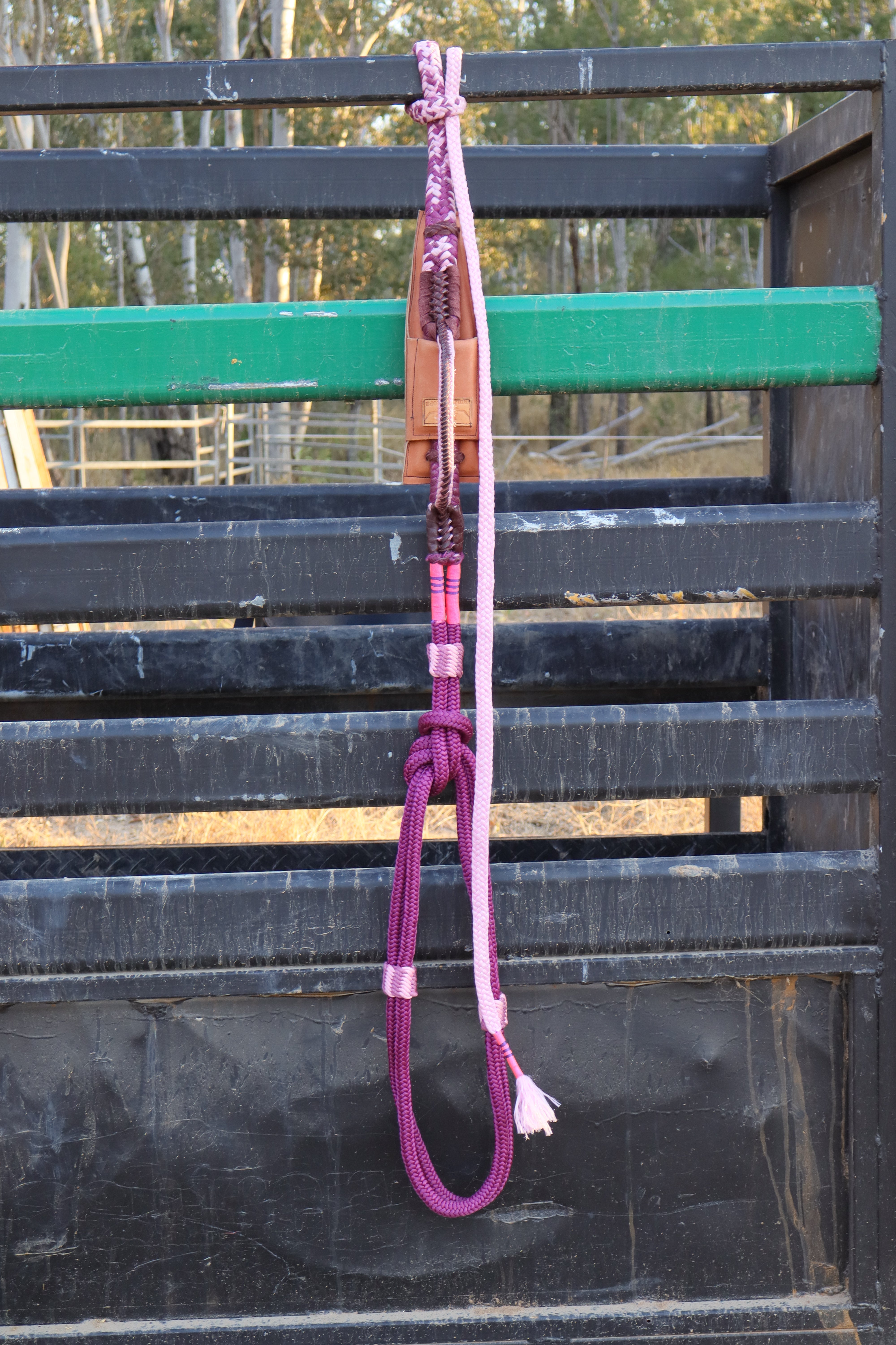 Mafla With Rodeo Rope Left Hand Brazilian Mini Bull Rope w/ American Block – Back to Roots ...