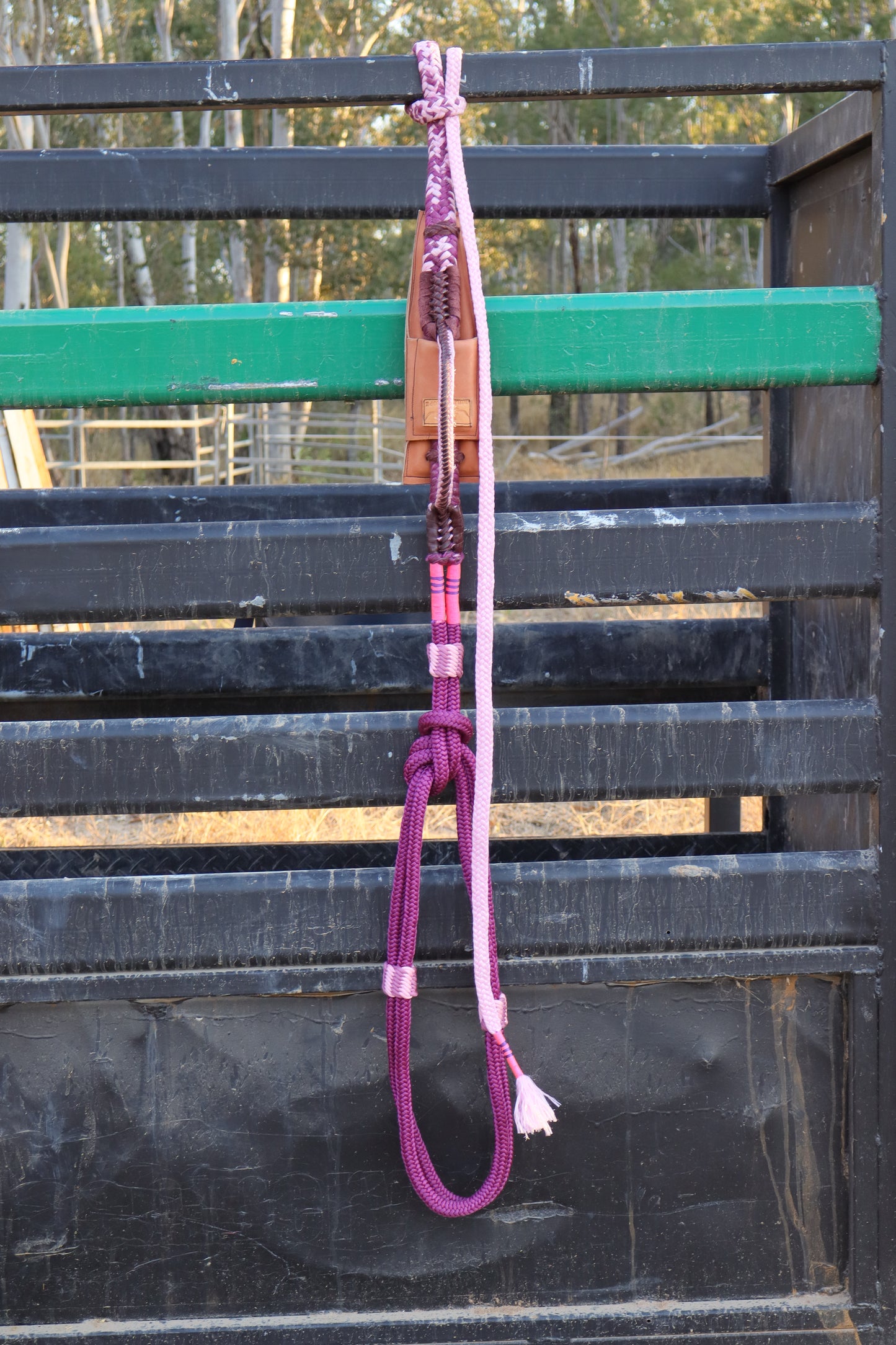 Left Hand Brazilian Mini Bull Rope w/ American Block