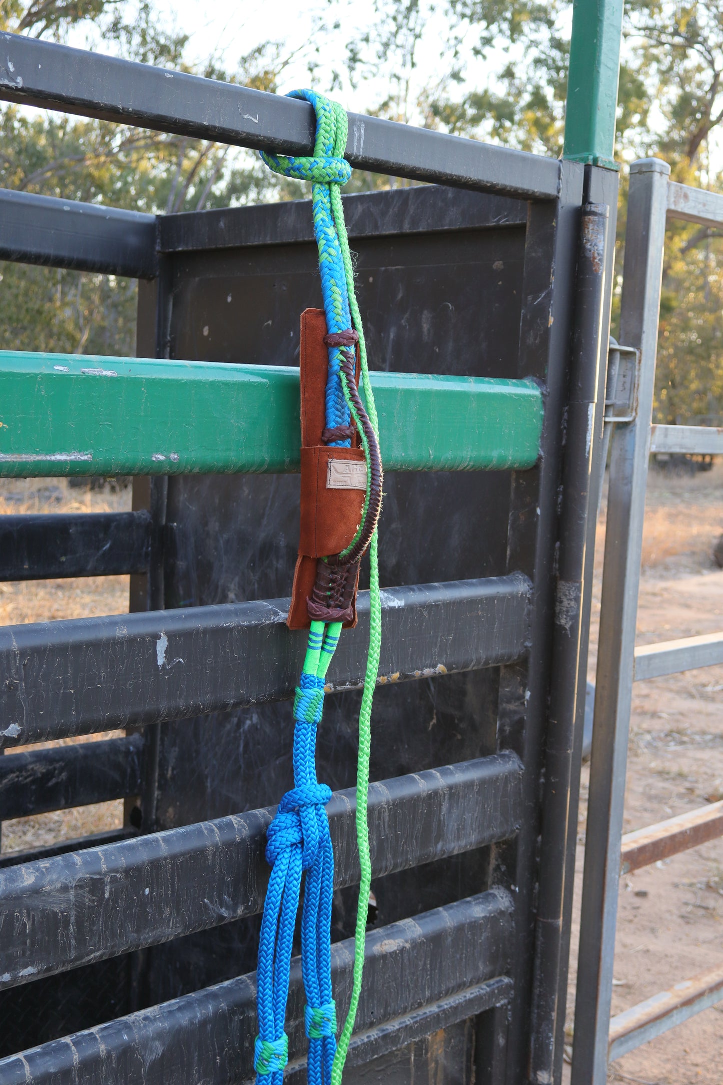Right Hand American Mini Bull Rope
