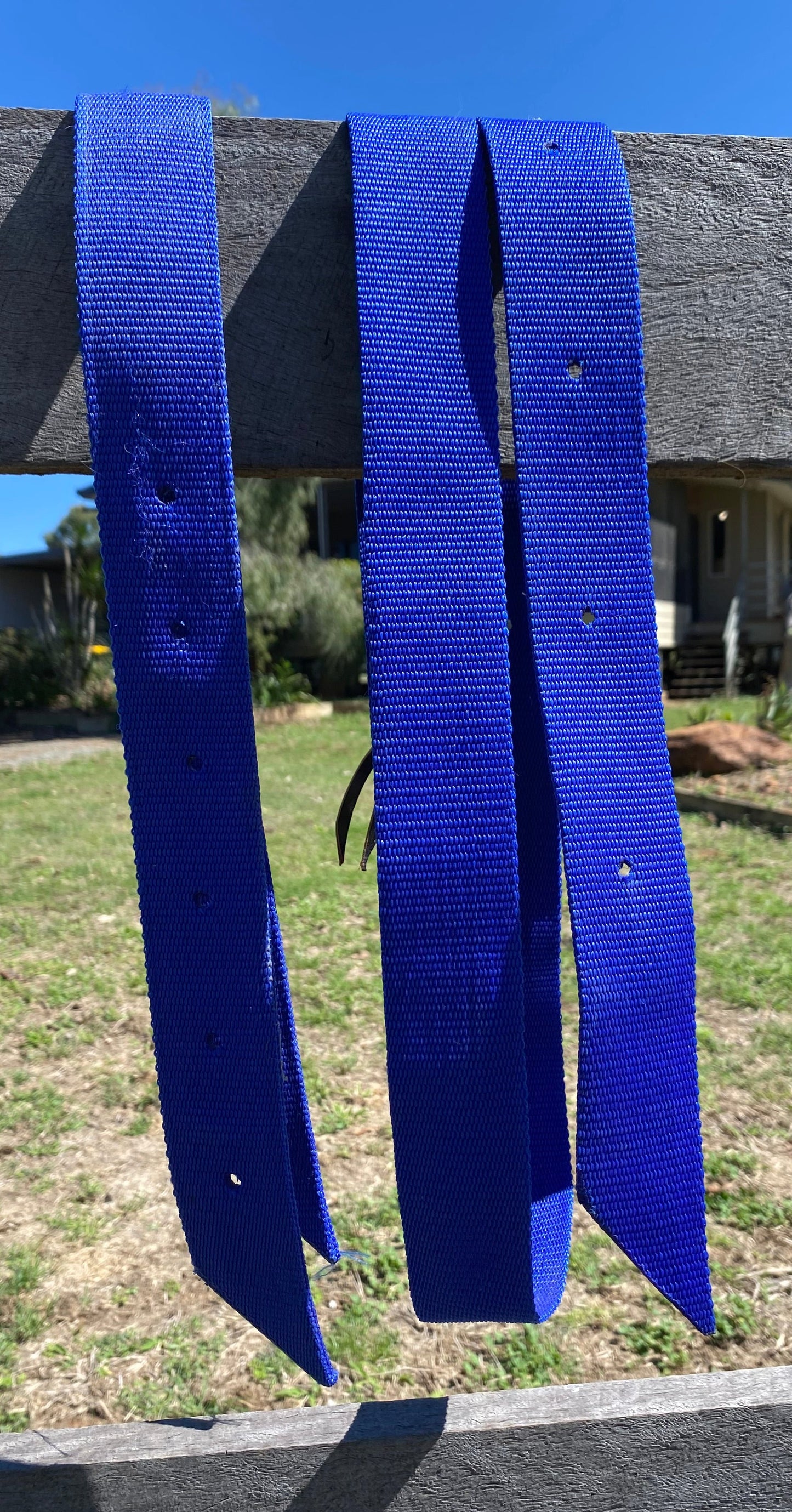 Blue Nylon Latigo set