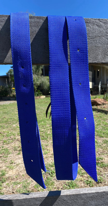 Blue Nylon Latigo set