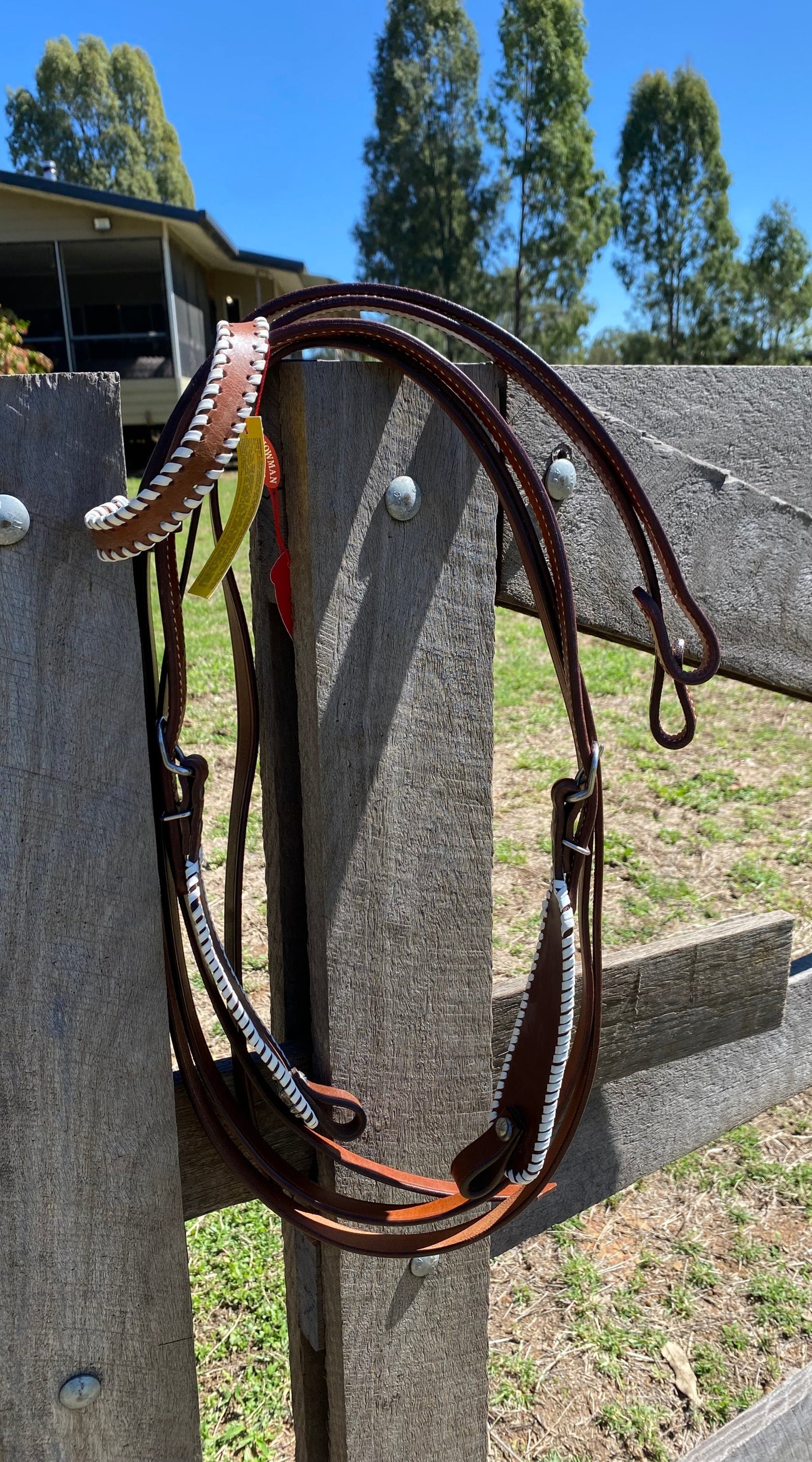 Painted Leather Bridle