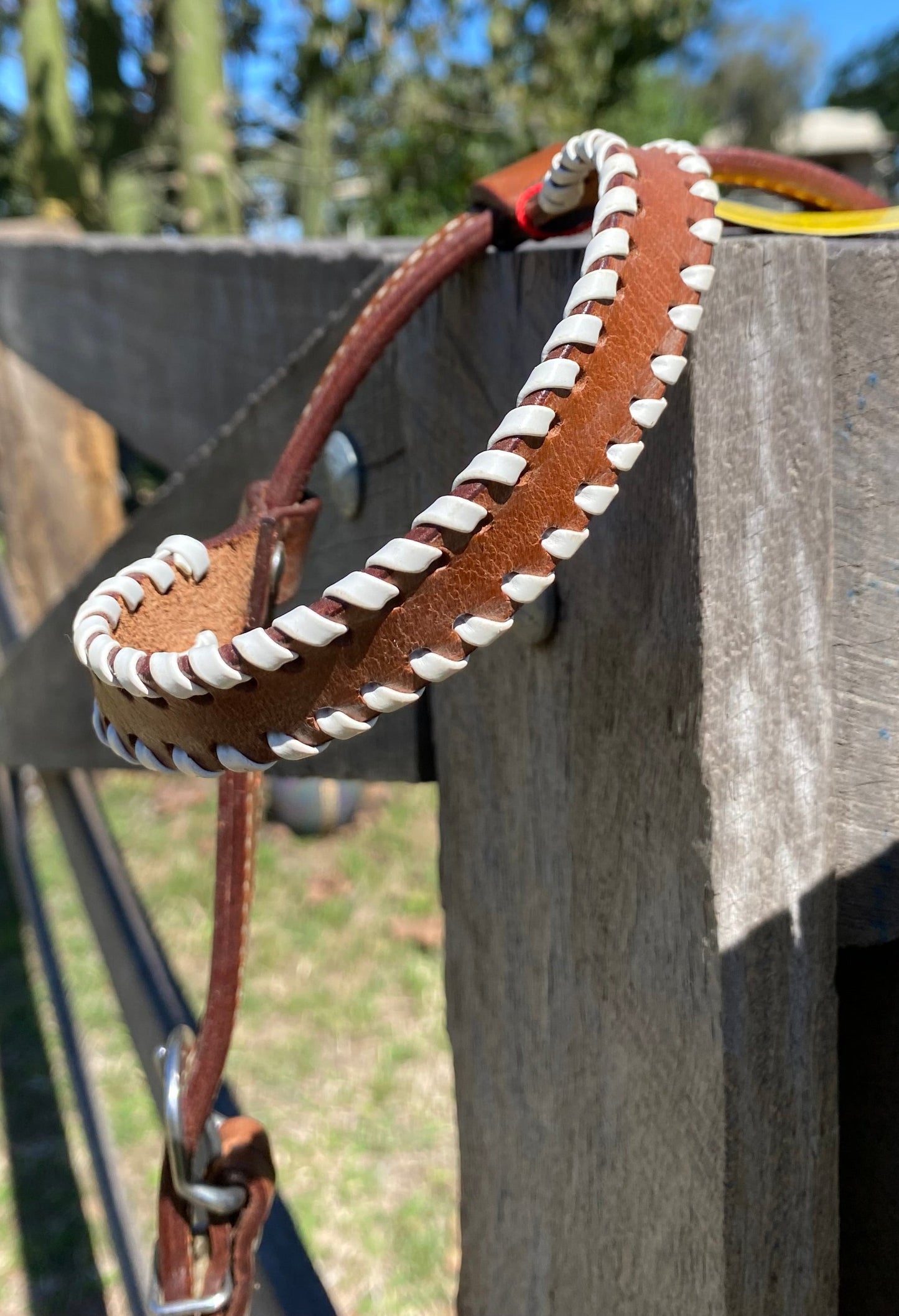 Painted Leather Bridle