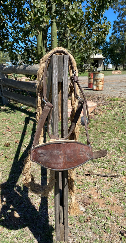 Bronc Halter And Rein