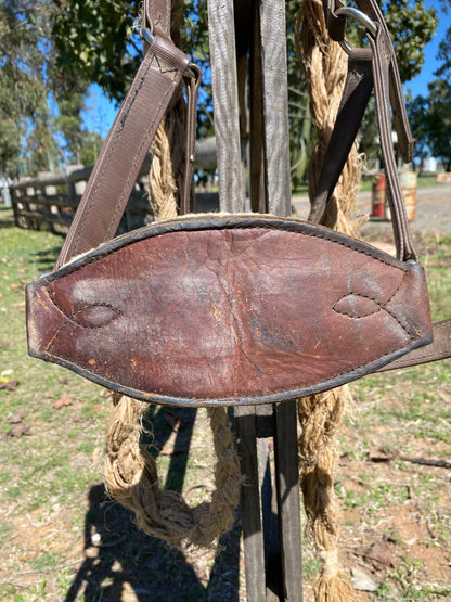 Bronc Halter And Rein