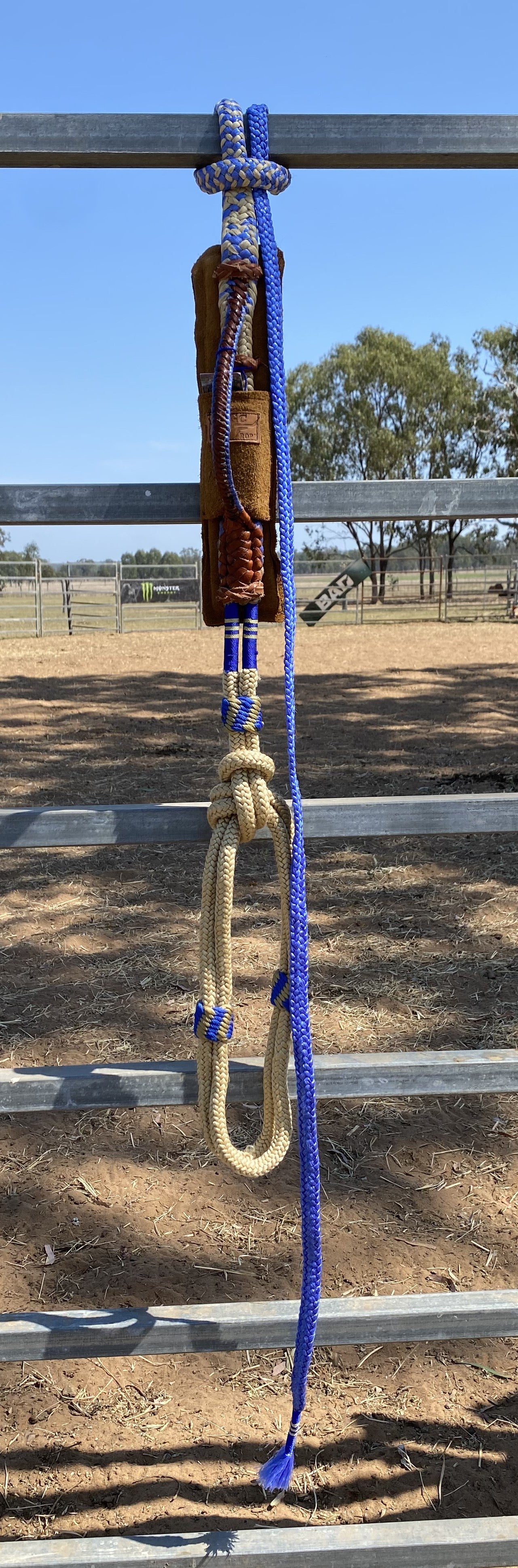 Right Hand American Mini Bull Rope