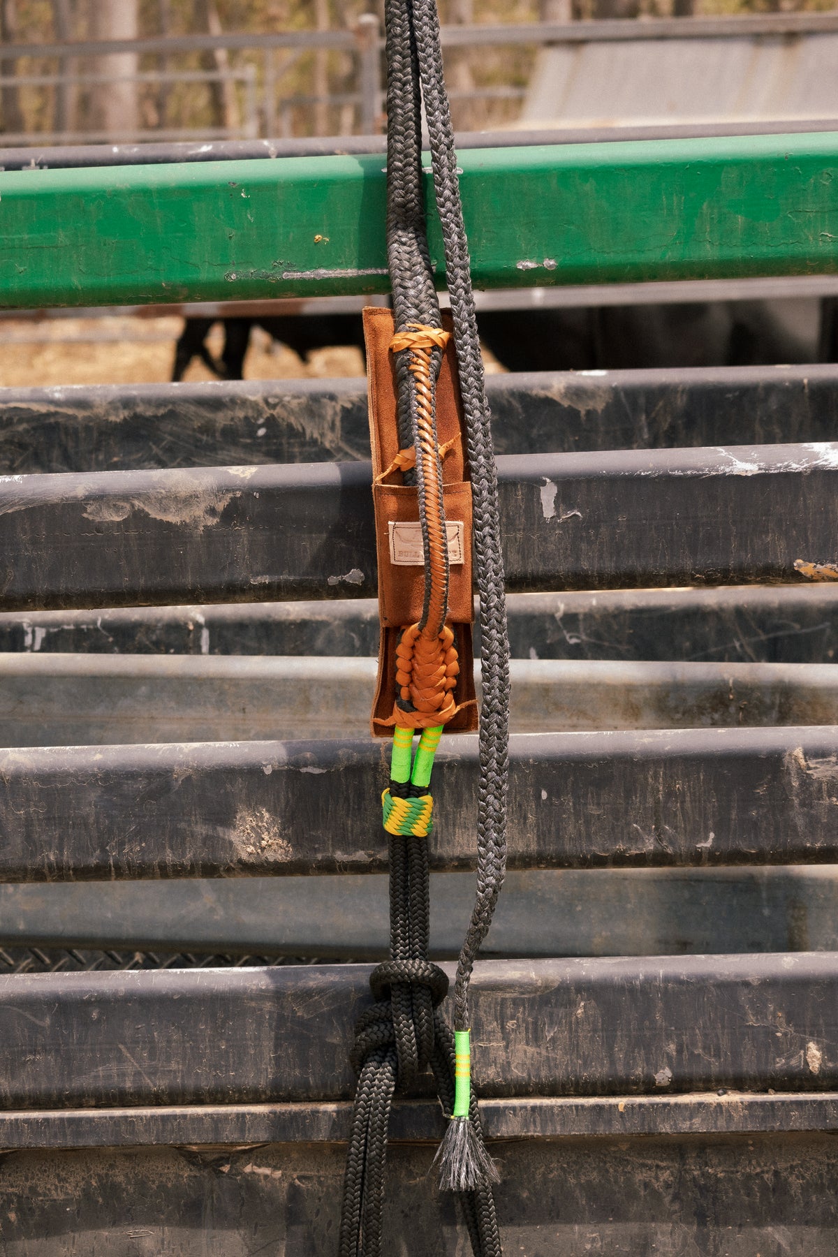 Right Hand American Mini Bull Rope