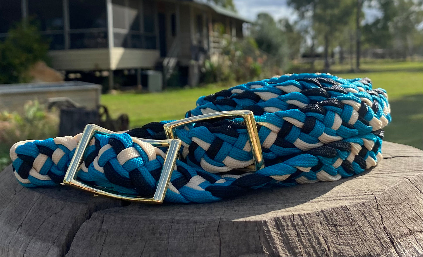 Barrel Reins - Blue and White