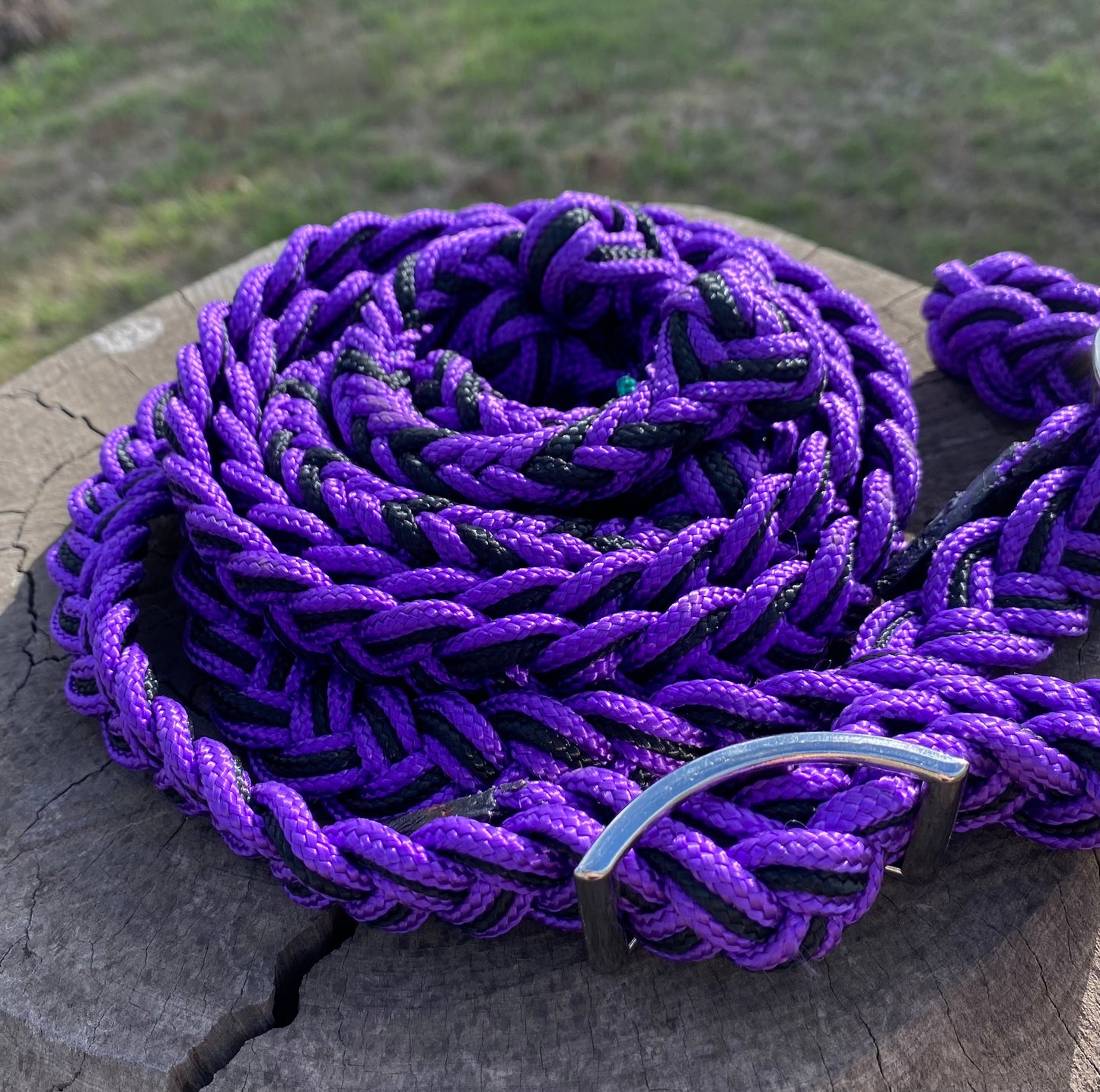 Barrel Reins - Purple