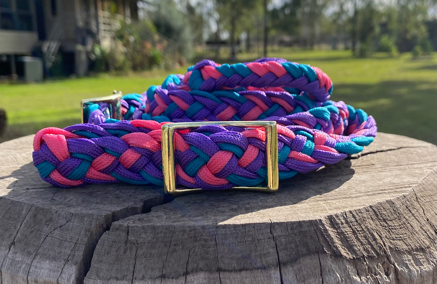 Barrel Reins - Pink and Purple