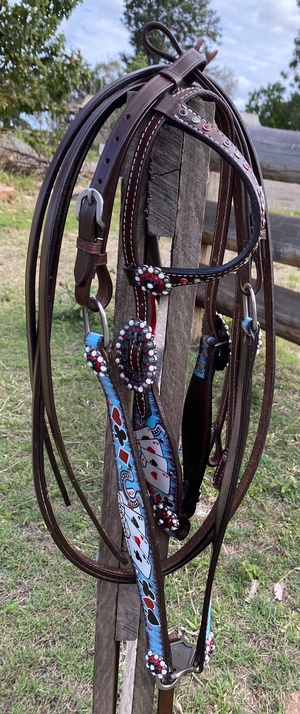 Hand Painted Tack Set