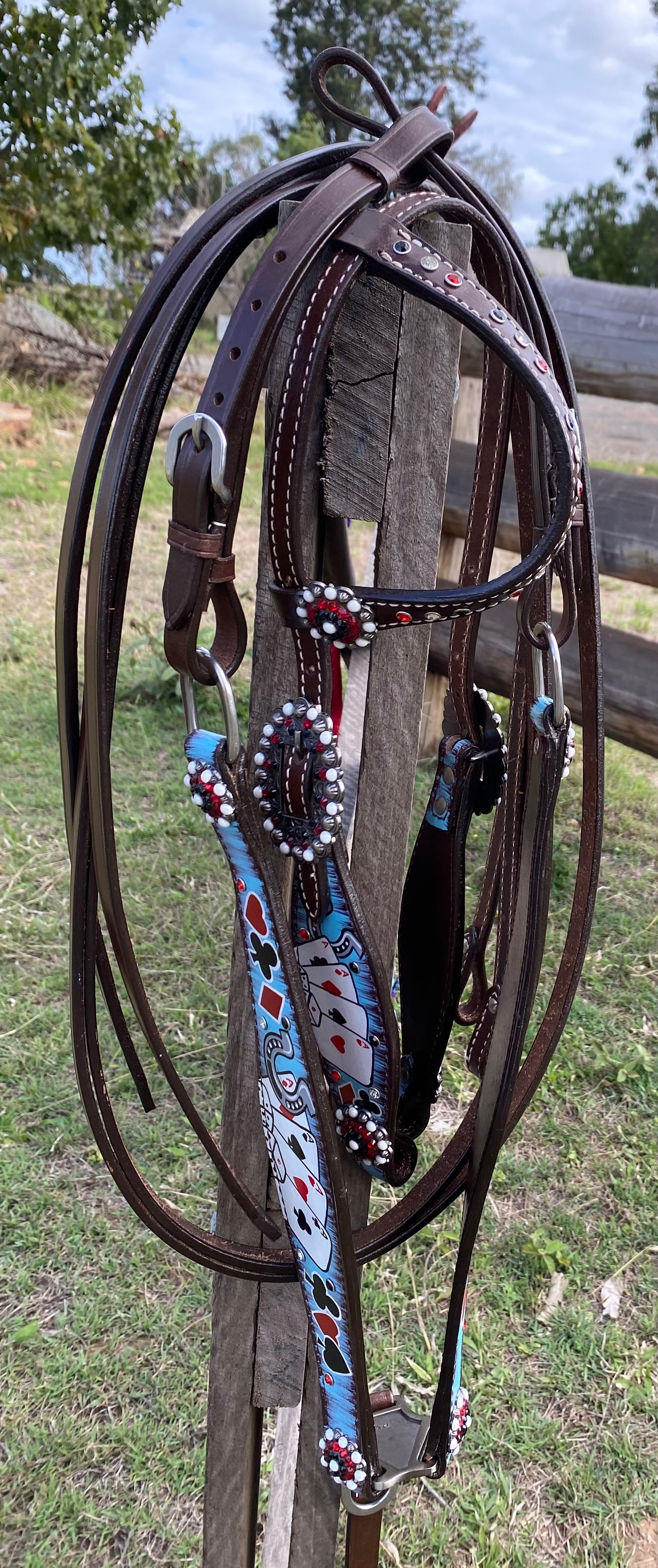 Hand Painted Tack Set